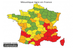 Le moustique tigre menace 20 départements 