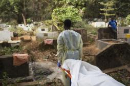 RDC : l'épidémie de fièvre jaune est déclarée 