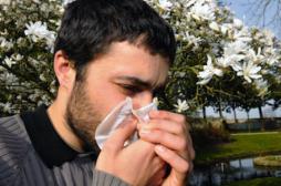 Allergies : les pollens de graminées passent à l'attaque