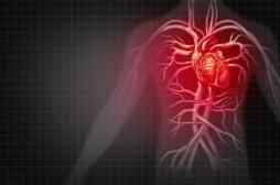 La grippe et les pneumonies multiplient par 6 le risque de crise cardiaque et d'AVC