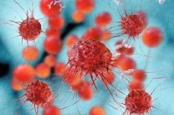 Une nouvelle protéine permettrait de cibler toutes les cellules cancéreuses