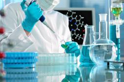 IBM : une molécule géante fait barrage aux virus