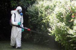 Zika : comment La Réunion se prépare à l'arrivée du virus