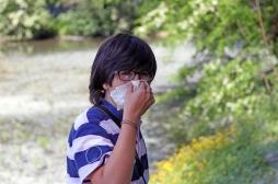 Allergie : la France envahie par les pollens de graminées