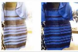 Neurologie : ceux qui voient la robe blanche ont un cerveau plus actif