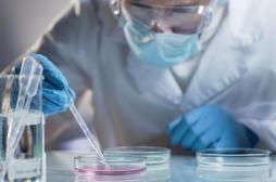 Cancer colorectal : tester les traitements grâce à des mini-tumeurs en 3D