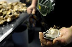 Norovirus : les huîtres favoriseraient les gastro-entérites
