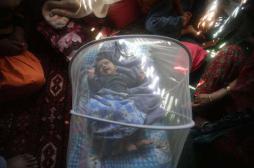 Paludisme : la résistance aux traitements menace