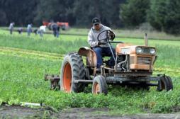 Pesticides : des agriculteurs remettent en cause les risques 