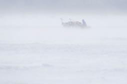 Mollivirus Sibericum : un virus qui venait du froid