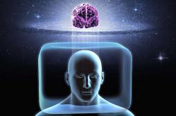 Cerveau : pas de différence entre les sexes  