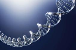 Cancer du sein, Alzheimer : les bien-portants veulent connaître leur prédisposition génétique