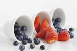 Antioxydants : myrtilles et fraises limiteraient la prise de poids 