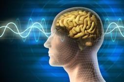 Hallucinations : comment le cerveau tente de les déjouer
