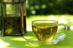 Le thé vert réduirait les effets néfastes du régime occidental 