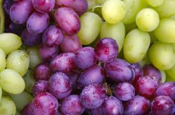 Alzheimer : manger du raisin pour prévenir la maladie