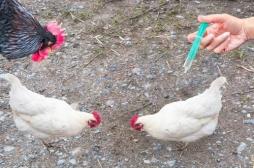 Les antibiotiques automatiques peuvent devenir dangereux 