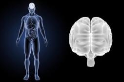 Un capteur de pression  implantable et biodégradable 