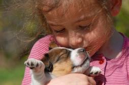 Stress : les chiens apaisent les enfants