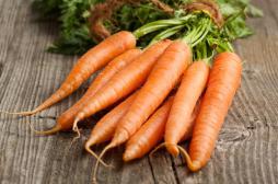 Gène du carotène : un enjeu mondial de santé publique