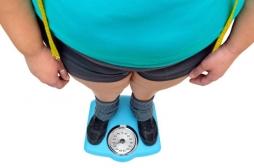 Comment les perturbateurs endocriniens favorisent la reprise de poids après un régime 