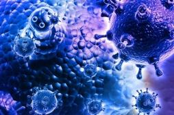 La mortalité associée à la grippe saisonnière est revue à la hausse