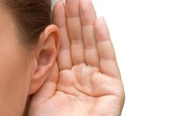 Greffe d'oreille en Chine : une pratique qui se développe