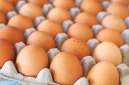 Fipronil : 200 000 œufs ont été mis sur le marché en France 