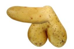 Les préoccupations santé de nos adolescents… Pourquoi les garçons ont-ils des érections le matin au réveil ?