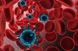 Au Brésil, deux nouveaux virus géants ont été découverts