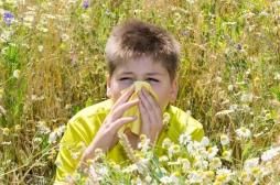 Allergies : vigilance rouge maintenue dans la plupart des régions