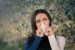 Allergies au bouleau : risque très élevé à Lyon et Paris 