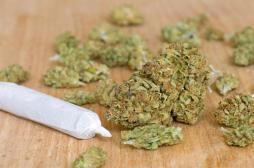 Cannabis : les intoxications progressent chez les 8-15 ans 