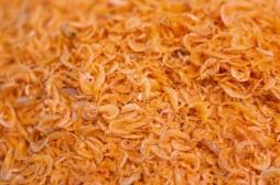 Trop de foie gras pendant les fêtes… L’occasion pour essayer l'huile de  Krill et ses omégas 3 ?