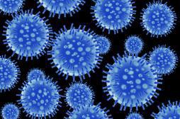 Grippe : la réponse immunitaire tue plus que le virus