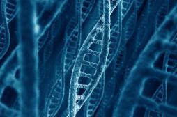 CRISPR : les Etats-Unis l’autorisent pour un essai sur l’homme