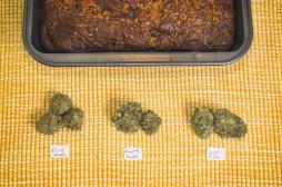 Gâteau au cannabis : 