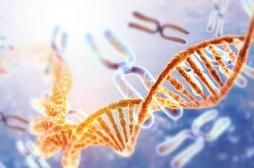 Troubles psychiatriques : d’où viennent les différences entre hommes et femmes ?