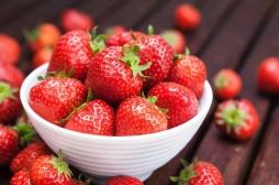 Amérique du nord : une épidémie d’hépatite A provoquée par des fraises bio ? 