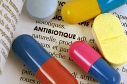 Un risque d'atteinte cardiaque lié à la prise d'antibiotiques