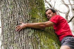 Sylvothérapie : prudence avant d’enlacer un arbre 