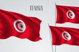 Onze bébés décédés dans une maternité de Tunis : le ministre de la Santé demissionne