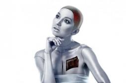 Robots sexuels : les scientifiques s'inquiètent de leur impact négatif et addictif