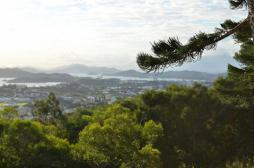 Dengue : 2 décès en Nouvelle-Calédonie 