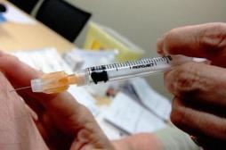 Brésil : la lutte contre la fièvre jaune s'intensifie à Rio