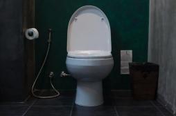 Des toilettes intelligentes pour surveiller nos urines et d'éventuels soucis de santé 