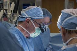 Greffe d'utérus : une première réalisée aux Etats-Unis avec une donneuse décédée 