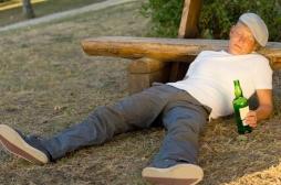 Alcool : comment l’homme a appris à le métaboliser 