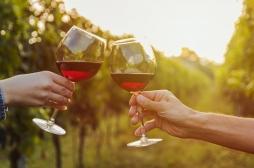 Le vin rouge aurait des effets positifs sur le microbiote intestinal