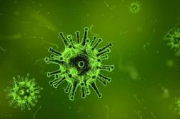 Des virus et des bactéries tombent chaque jour par milliards du ciel 